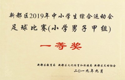 2019新都區中小學綜合運動會足球項目校園足球決賽冠軍